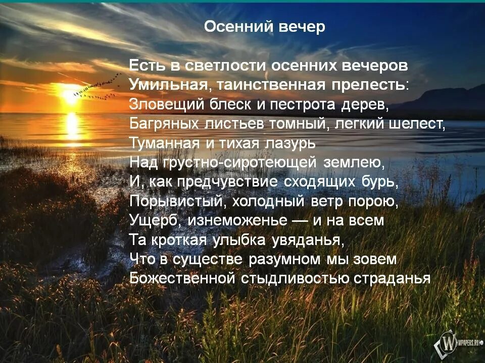 Летний вечер текст стих. Осенний вечер стих. Осенний вечер Тютчев. Стих вечер. Стих о вечерней природе.