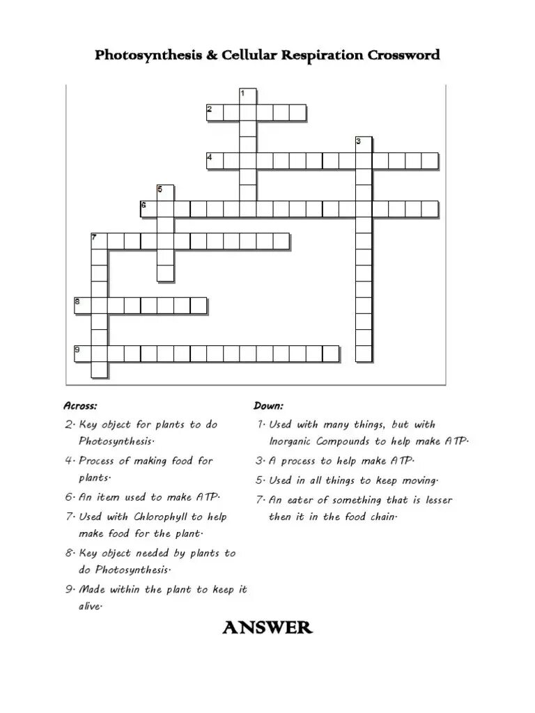 Across down кроссворд. Respiration crossword. Food кроссворд across down. Biology crossword Puzzle. Кроссворд домен