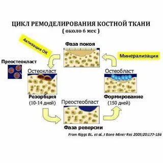 Резорбция костной ткани это