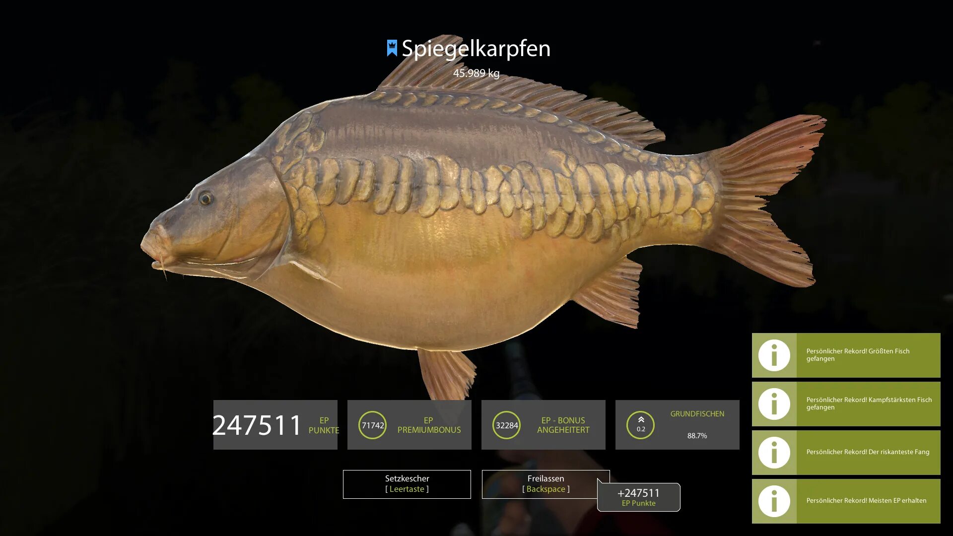 Рр3 карп. Russian fishing 4 фидер. карп рр4. карп зеркальный. большой зеркальный карп.