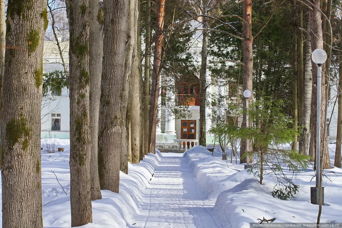 Городок писателей Переделкино. Резиденция писателей Переделкино. Новопеределкино дом писателей. Дм писателей Переделкино.