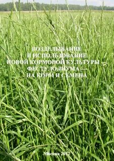 Новые кормовые культуры