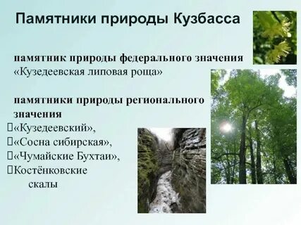 Памятник природы в городе