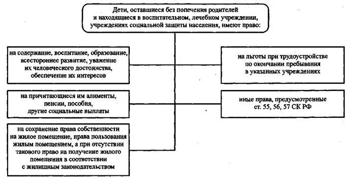 Опека и попечительство над детьми схема. Структура органов опеки в РФ.