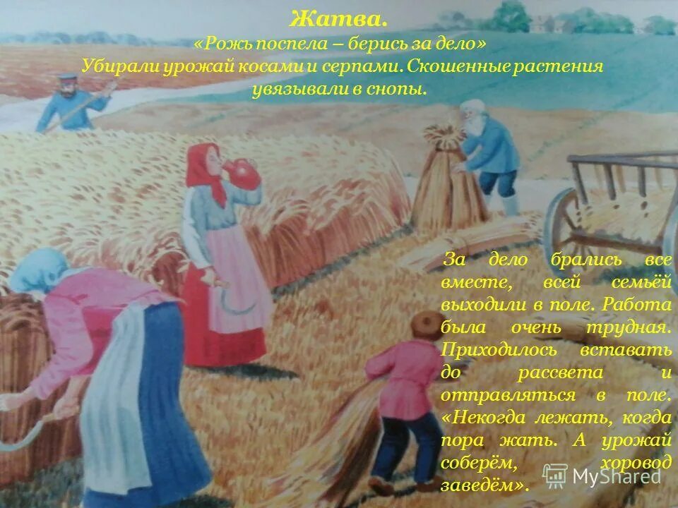 Значение пословицы там хоть трава не расти. Поговорки и пословицы о сборе урожая. Жатва пословицы и поговорки. Поговорки про урожай. Русские пословицы про урожай.
