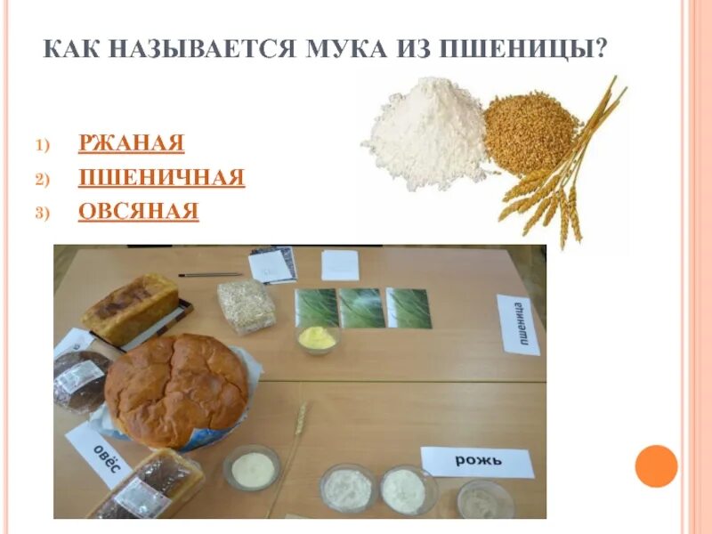 Из пшеницы получается 80 процентов. Продукты из пшеницы таблица. Что делают из пшеницы какие продукты. Пшеничная и овсяная мука. Какие продукты можно получить из пшеницы.