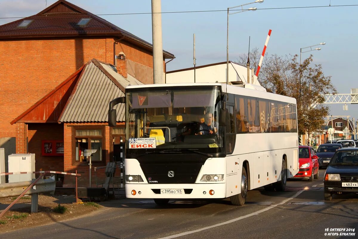 Автобус каневская ленинградская. Автобус Ейск. Автобус Ейск Краснодар. Автобус Москва Ейск. Ейск автобус Ейск Краснодар.