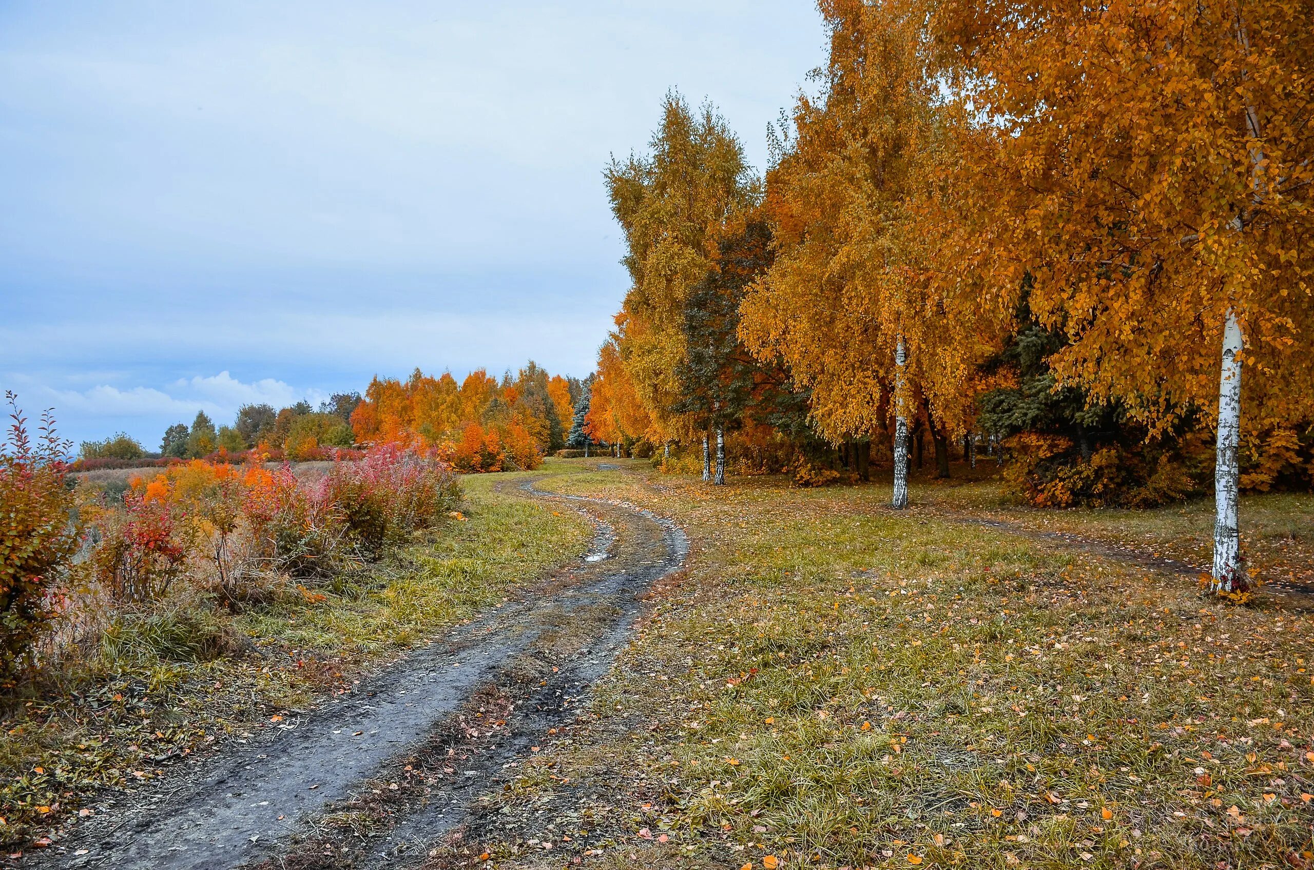 Родной край осенью