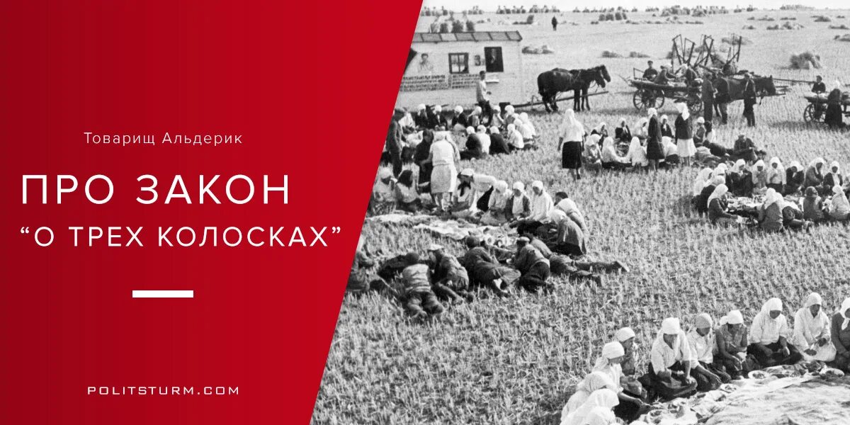 Закон о трех коколосках. Закон о колосках. Закон о трех колосках. Закон пяти колосков. Закон о 3 колосках.
