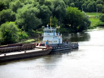 Водяная 65