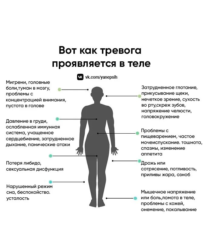 Признаки адреналина в крови. Тревога организма. Тревога организма. Паническая атака симптомы. Тревога организма.