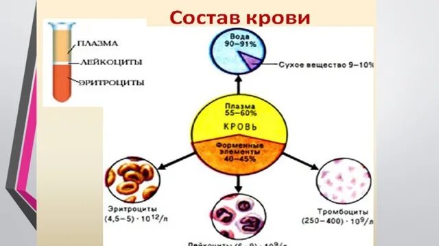 Кровь жидкая часть таблица. Внутренняя среда организма кровь плазма и эритроциты. Состав крови схема. Кровь состоит из плазмы и форменных элементов схема. Кровь состоит из жидкой части.