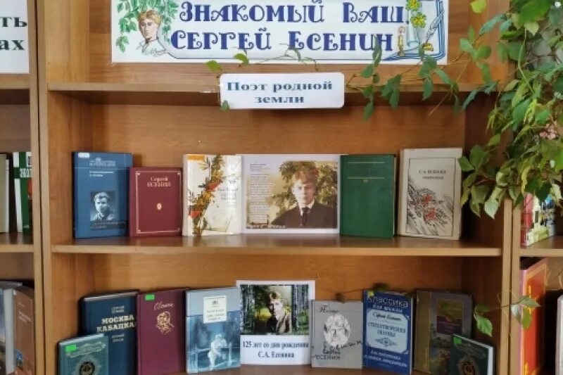Цикл выставок