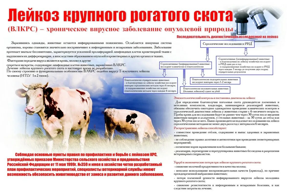 Профилактика незаразных болезней животных