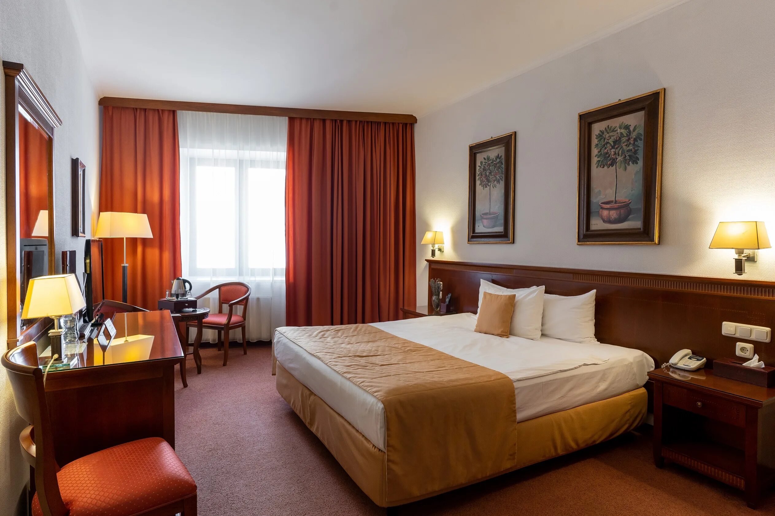 Воронеж отели на сутки. Гостиница новая воронеж. Натали элит гостиница воронеж. Воронеж отели на сутки. Натали элит гостиница воронеж.