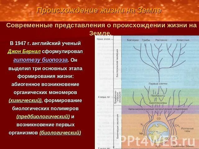 Современные представления о зарождении жизни. Современные представления о возникновении жизни. современные представления о происхождении жизни. представления о возникновении жизни на земле.