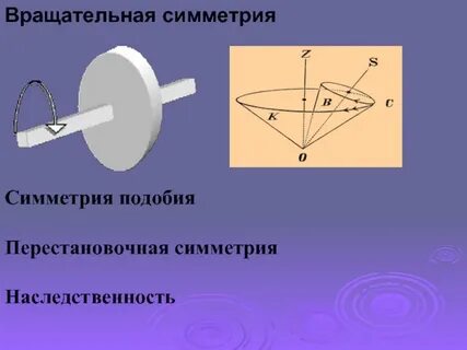 Поли симметричный
