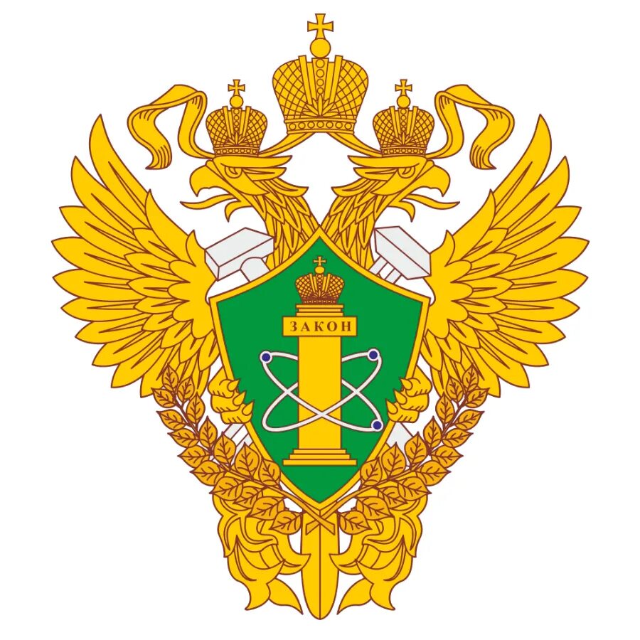 Федеральная служба по надзору в сфере природопользования. Федеральная служба по надзору в сфере природопользования. Природоохранная прокуратура. Росприроднадзор иркутск. Виды госнадзора.