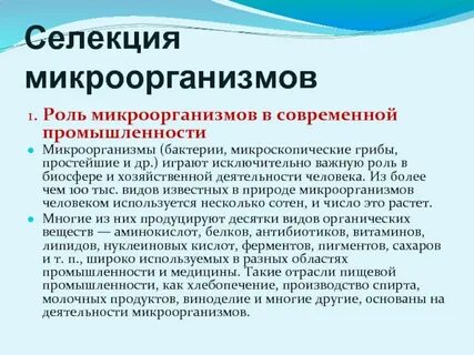 Этапы селекции микроорганизмов