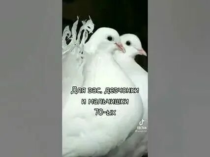Тише люди ради бога тише mp3