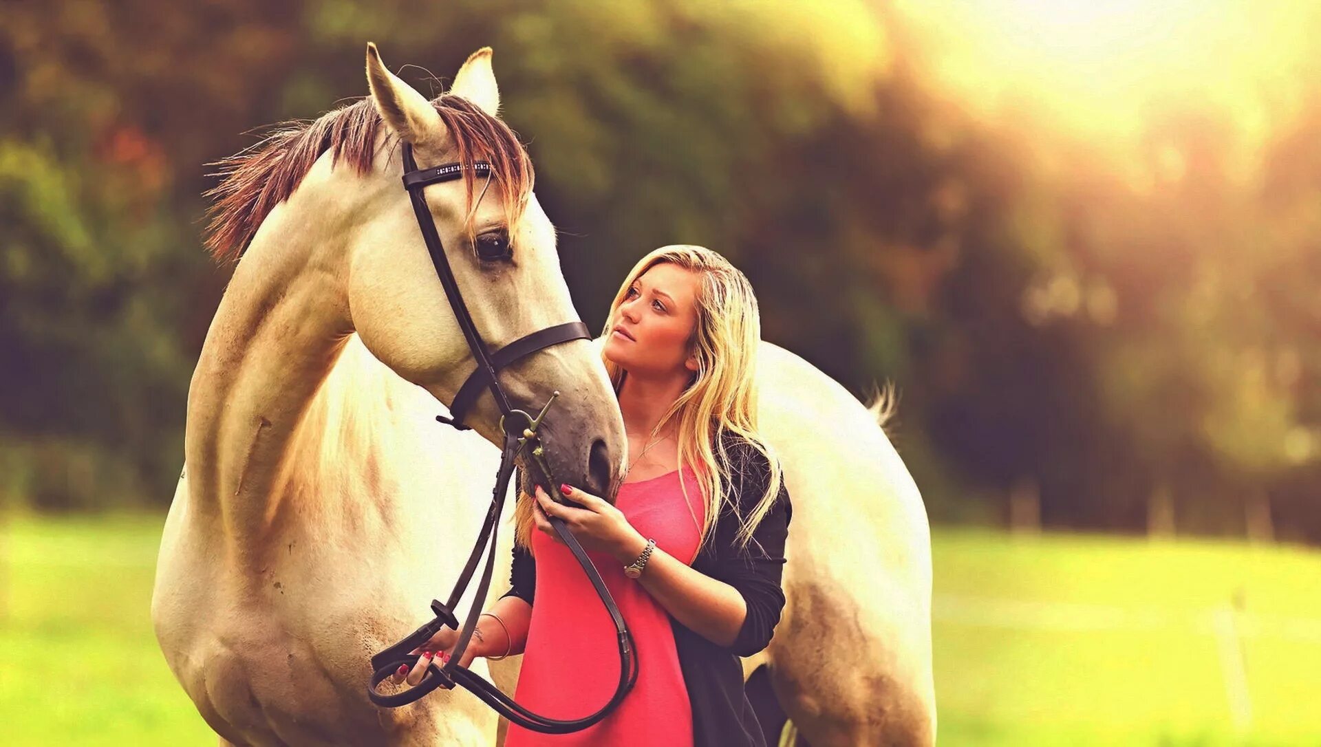 Девушка с лошадью. Девушка верхом на лошади. Девушка на коне. Девочка на лошади.