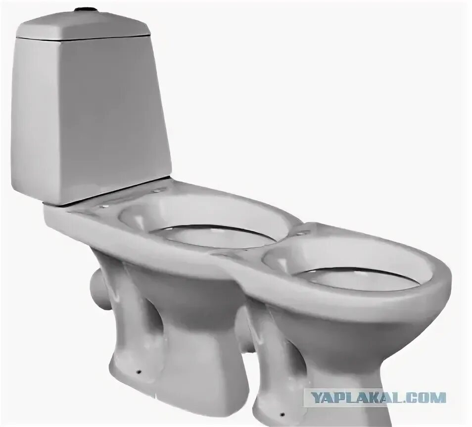Унитаз для двоих. Унитаз для двоих. Двойной унитаз. Двухместный унитаз. Двухместный унитаз.