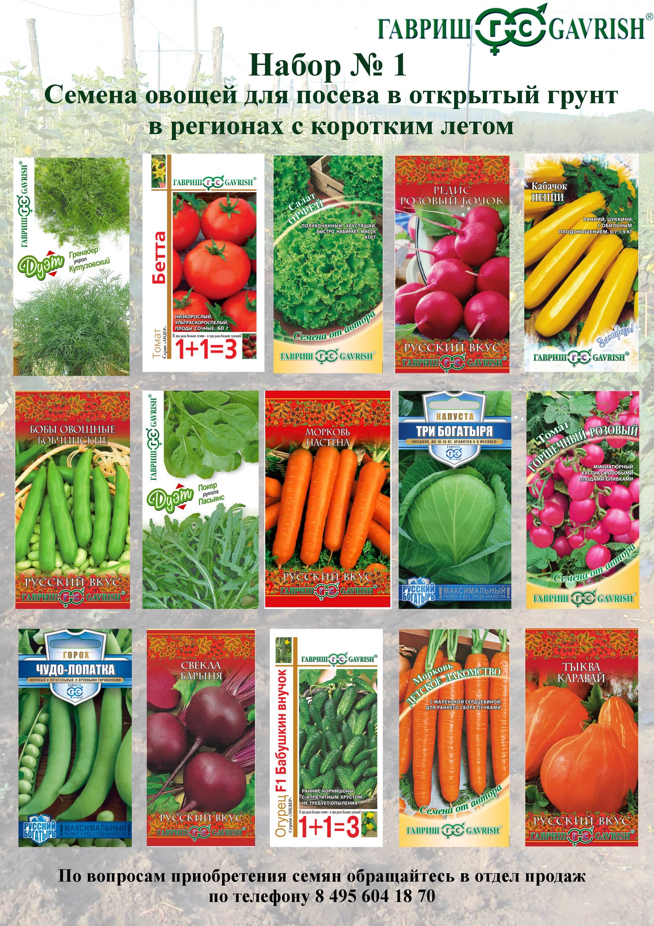 Семена овощей. Каталог семян. Ассортимент семян овощей. Семена овощей каталог. Сайт гавриш семена интернет магазин