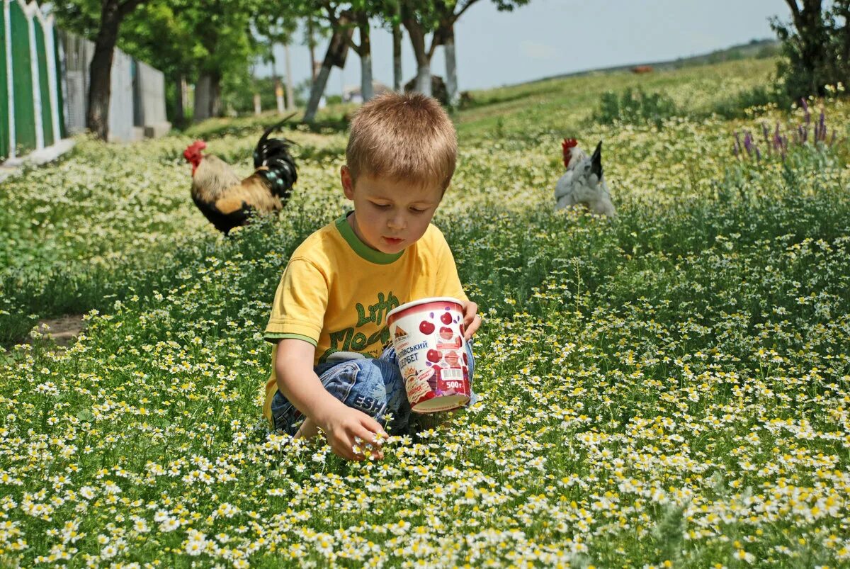 Children village live. Лето в деревне дети. Малыши. В деревне. Детство в деревне летом. Счастливые дети в деревне.