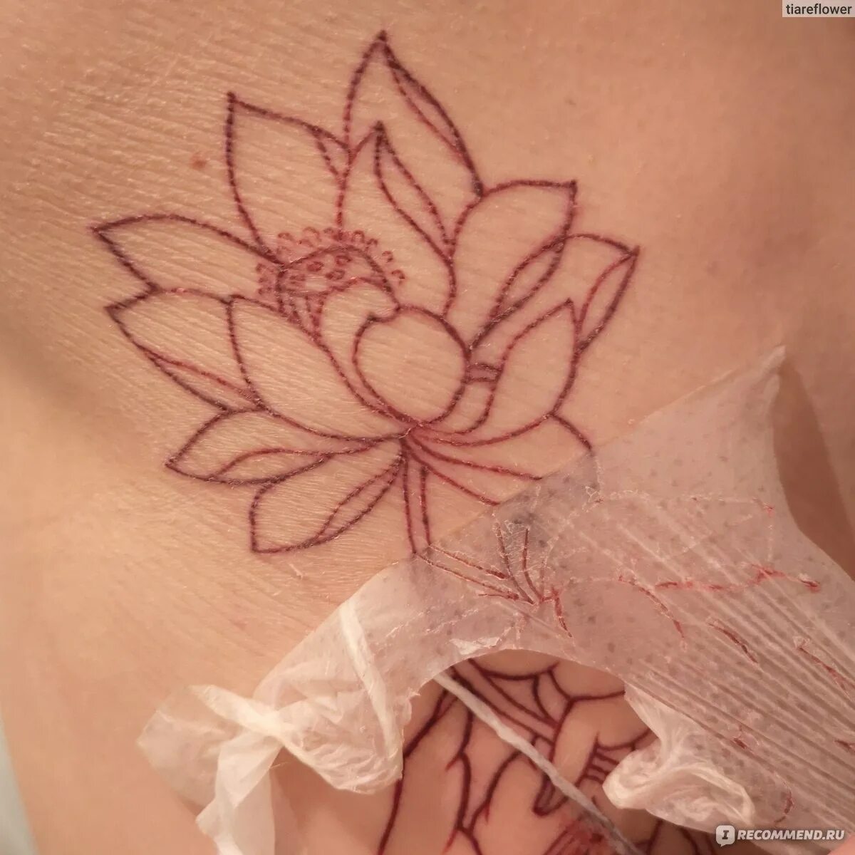 Заживляющая пленка для тату в рулоне AVA Tattoo 15см на 10метров - купить в инте