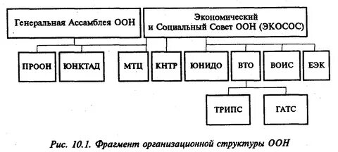 Генеральная ассамблея структура