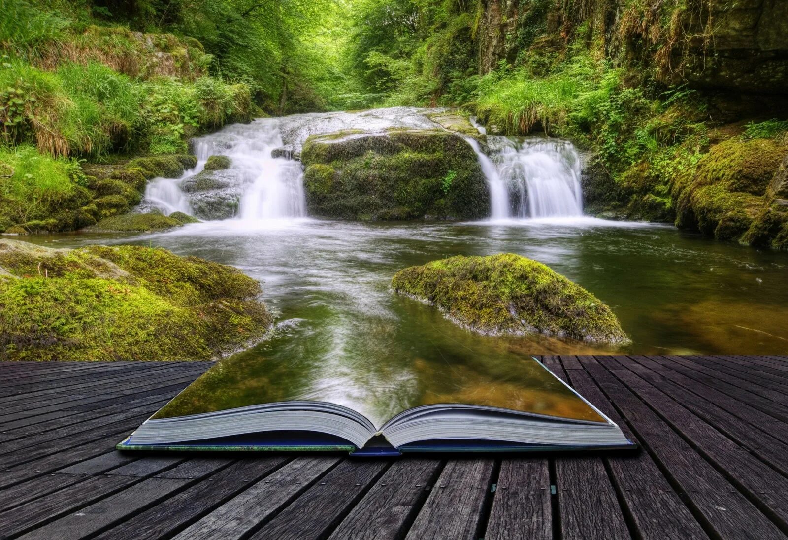 Обложка природа. Жизнь природа. Ручей жизни. Книга природа