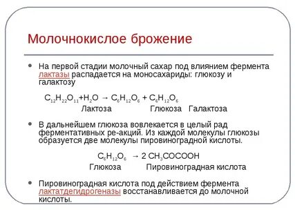 Молочное брожение