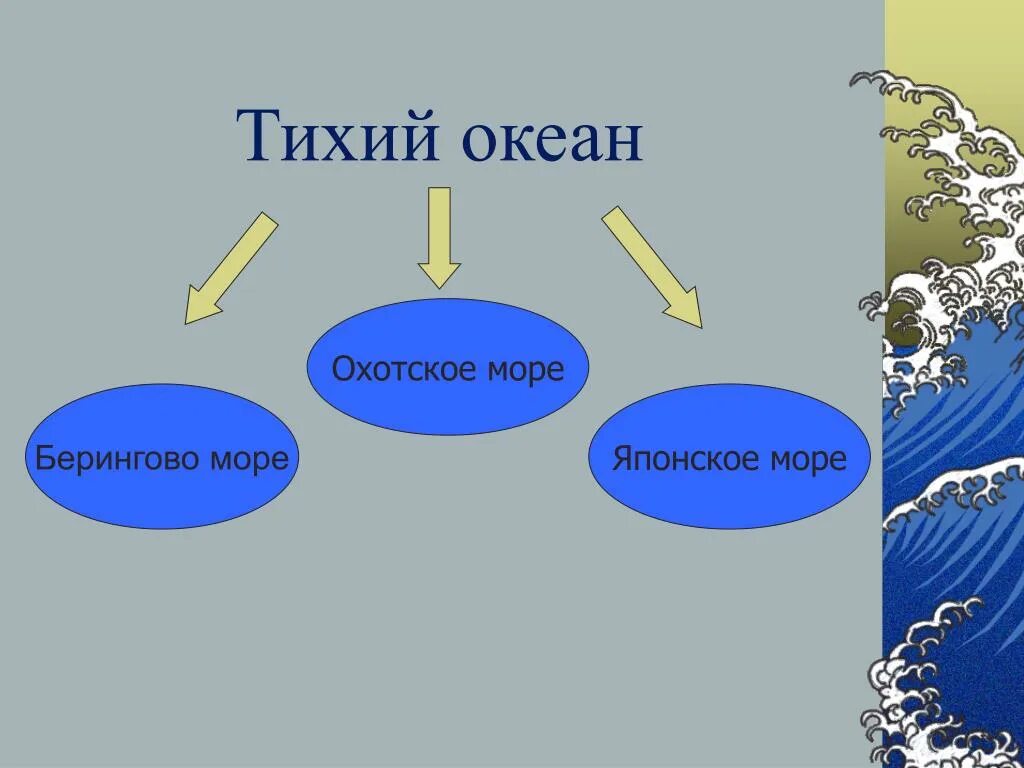 Море тихого океана омывающие берега россии. Моря Тихого океана омывающие Россию. Моря Северного Тихого океана омывающие Россию. Моря омывающие тихий океан.