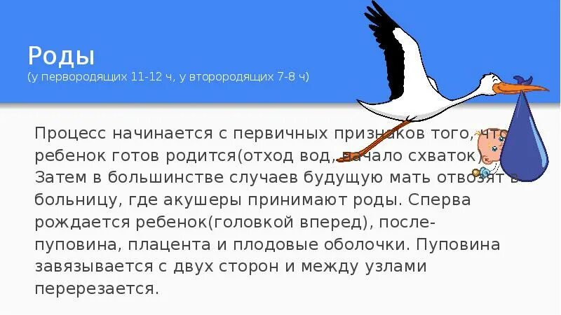 38 недель беременности предвестники родов у первородящих. Как начинаются роды у первородящих. схема родов у первородящих. роды процесс у первородящих.