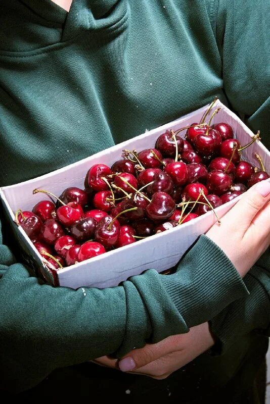 Черешня ящик сколько кг. Сербская черешня. Черешня в ящиках. Черешня в ящиках. Черешня крупная в ящике.