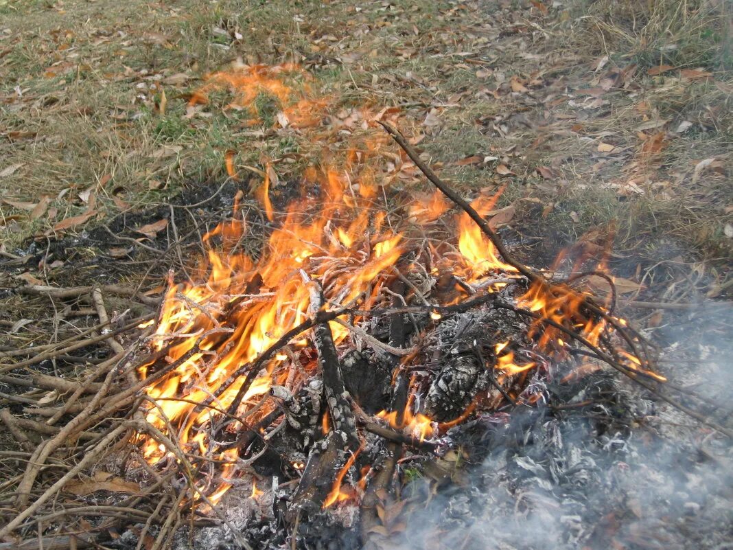 костры осени. осенний костер. осень костер. осень лес костер. костры осени.