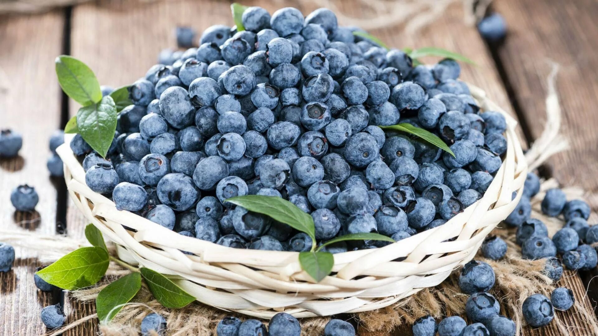 Черника ягода. Картинки ягод черника. Blueberry bilberry. Лесные ягоды черника. Голубика.