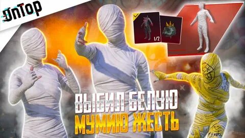 Аккаунт с мумией