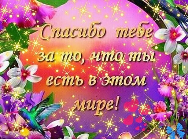 С днем рождения спасибо что ты есть. Спасибо за то что ты есть. спасибо за тго что т ыесть. спасибо тебе за то что ты есть. открытка спасибо за то что ты есть.