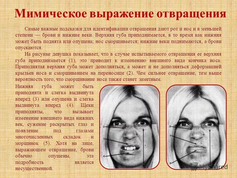 Испытывать неприязнь к человеку