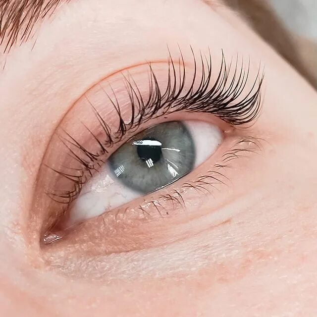 ламинирование натуральных ресниц. ламинирование ресниц. флаер на ламинирование ресниц. энигма для ламинирования ресниц. ламинирование ресниц томск томск.