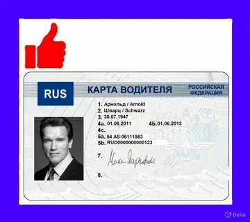 Сделать карту естр