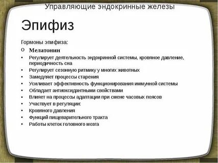 Эпифиз является железой внутренней секреции