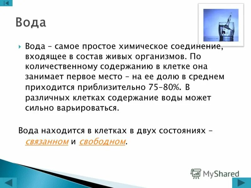 По количественному содержанию в организме элементы. Первое место по количественному содержанию в организмах принадлежит. первое место по содержанию в организме принадлежит:.