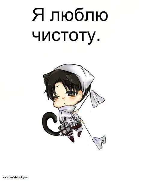 Как называются люди любящие чистоту