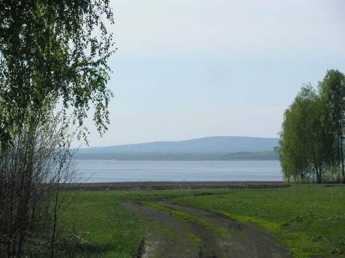 Озеро танай кузбасса. Озеро танай. Танаев пруд журавлево. Озеро танаево. Озеро танай кузбасса.