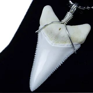 Shark anchor blox fruits