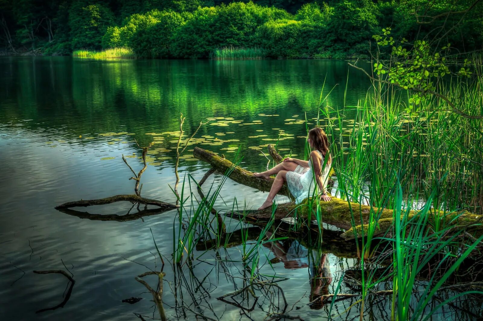 Девушки на озере. Легенда о лебедях. Однажды на пруду. Художник mark keathley деревенская жизнь картина. Воейково озеро мостки.