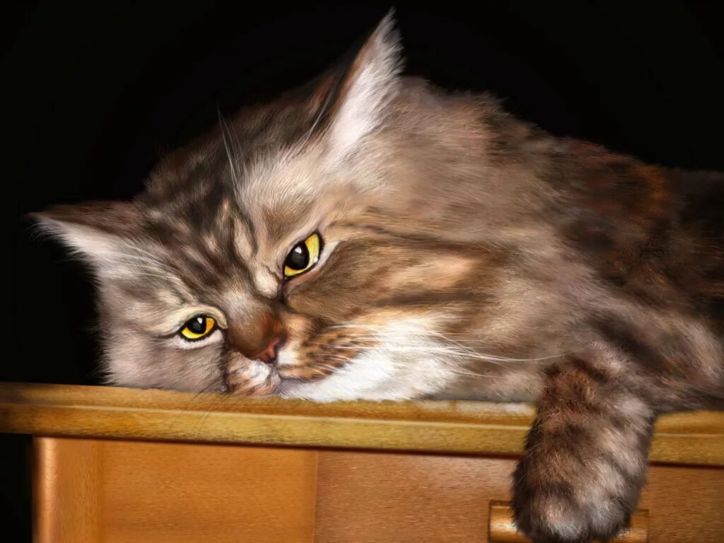 Уставший кот картинки. Уставший кот. кошка устала. усталая кошечка. кот уставший от жизни.