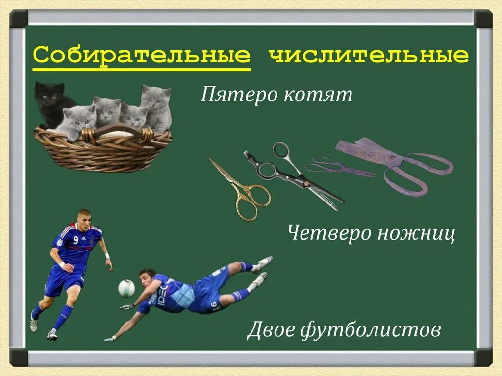 Четверо ножниц мягчайший хлеб поезжай. Четверо ножниц. Четверо ножниц четыре ножницы. Числительное для ножниц. Собирательное числительное пятеро котов.